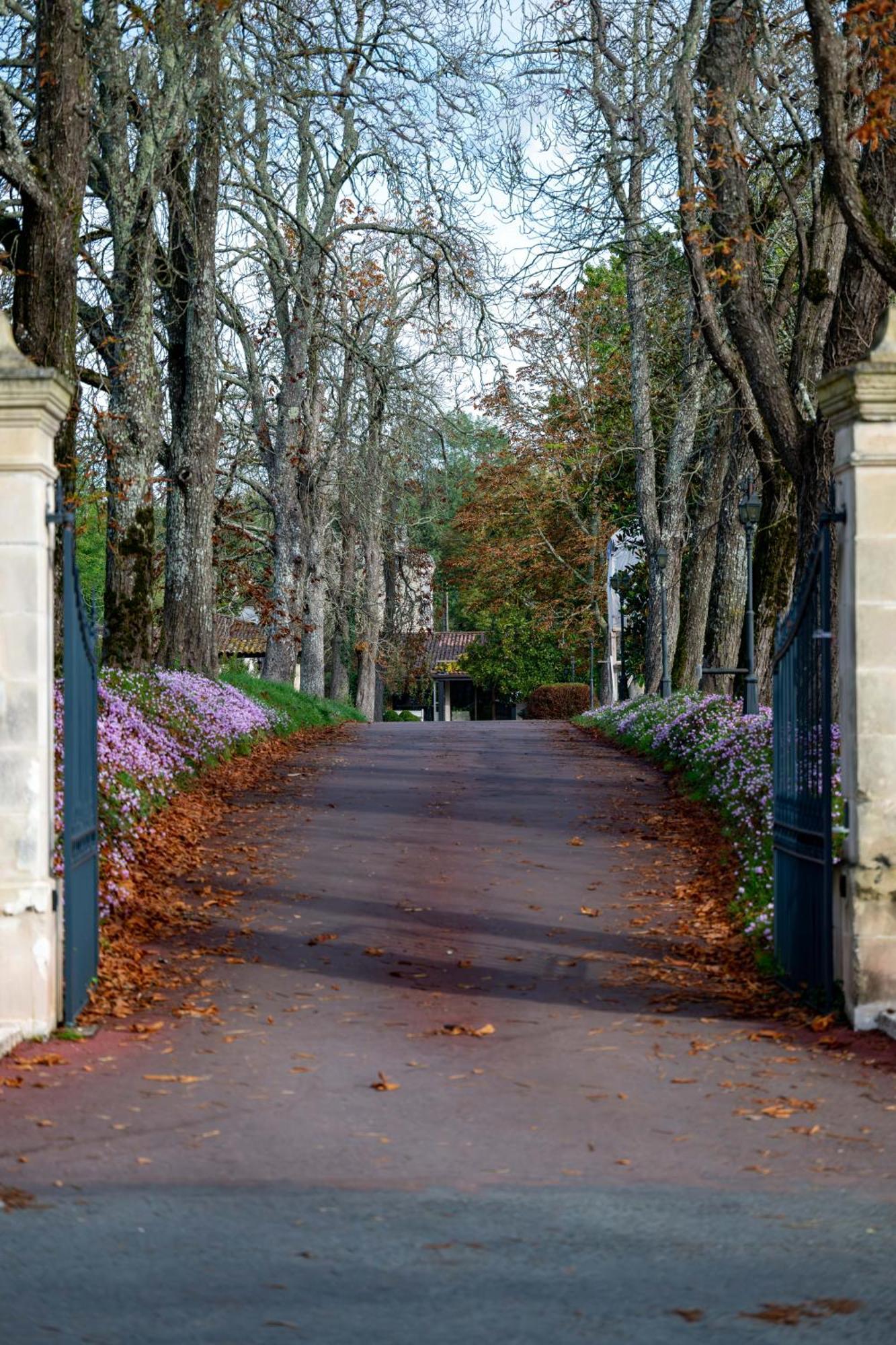 Relais Du Bois Saint Georges - Hotel De Charme Saintes Eksteriør billede